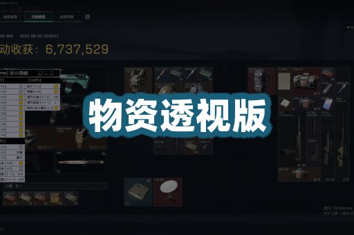 物资透视版