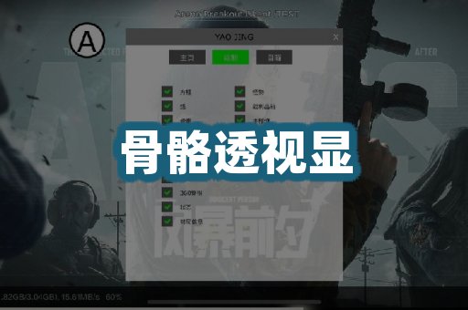骨骼透视显